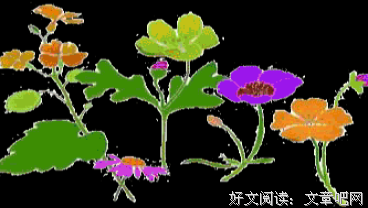 钩出你的味蕾读后感精选10篇