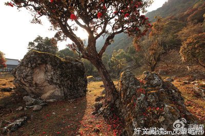 大雪山杀人谜案