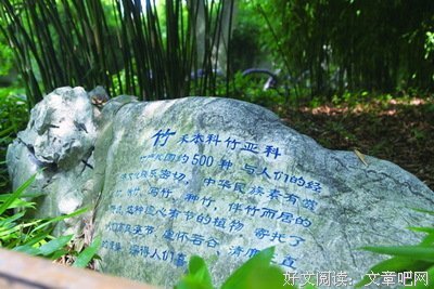 摘录名句欣赏