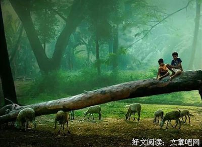 回忆，经典名句