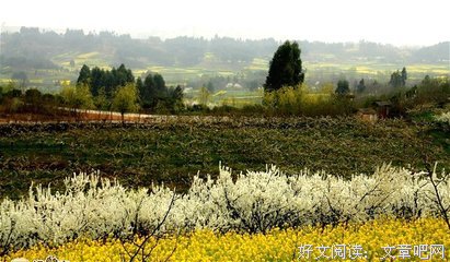 《遥远的光辉》观后感10篇