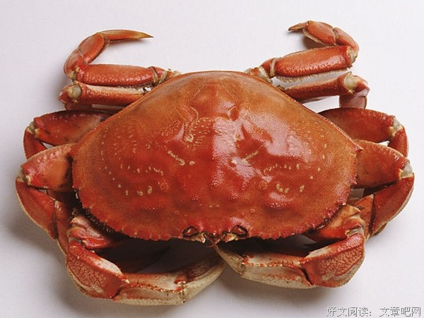 螃蟹怎么成了马谡 l 秋末