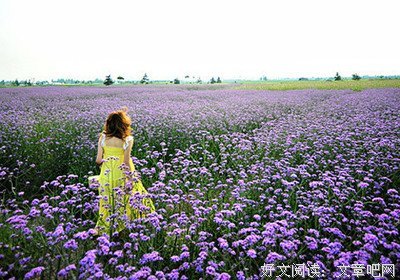 有关心境明淡的句子