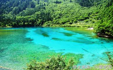 学习的优美句子