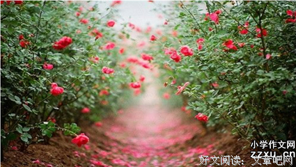 《唯美句》的句子