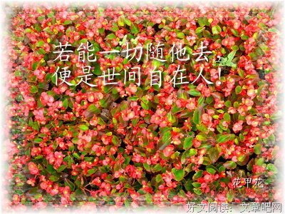 禅语