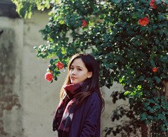 青衫隐的优美句子