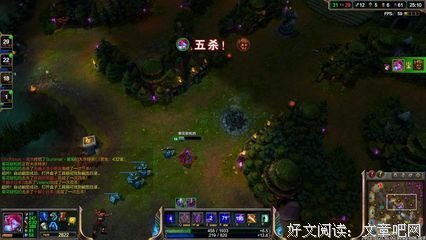是谁杀了张寡妇（上）
