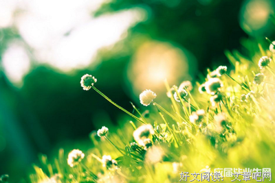 关于恶贯满盈的名句摘抄