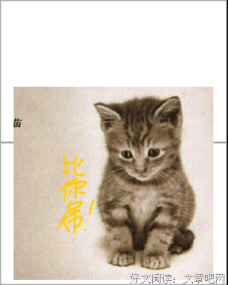 忆之殇乐的名言