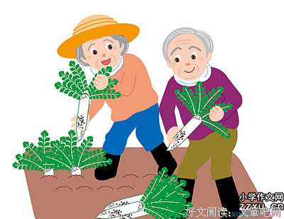 最全的《风中的纸屑》散文美句