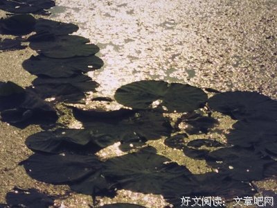 《蜀山传》经典影评集
