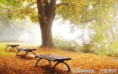 有关流泪的句子