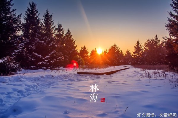 人生感悟的优美句子