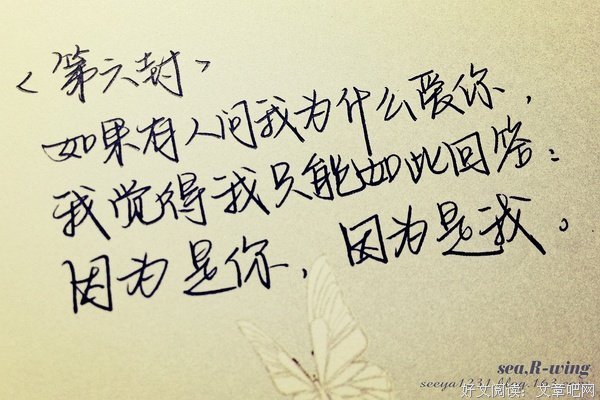 collection句子