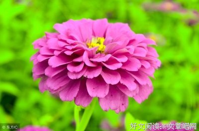 自己明白句子大全