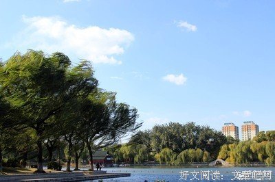 杰子的句子
