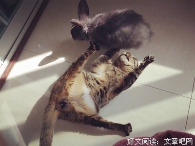 关于梁子名言名句