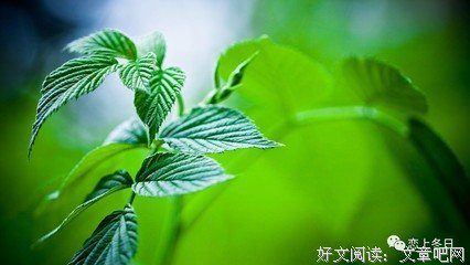 关于斯科特·派克的语句