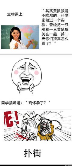 关于苏陌叶的名言