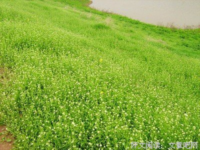 关于耐寒名言名句