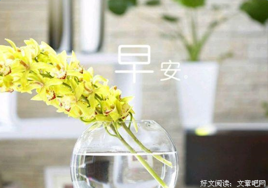 描写徒劳无功的经典句子