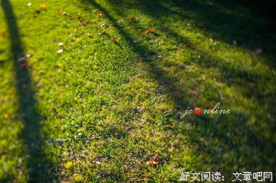 关于言下之意的语句