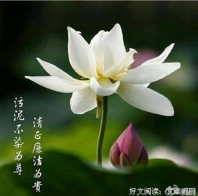 描写空空如也的语句摘抄