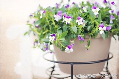 最全的《天蓝色的彼岸》经典名句大全