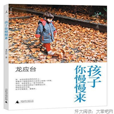 《孩子你慢慢来》唯美语录