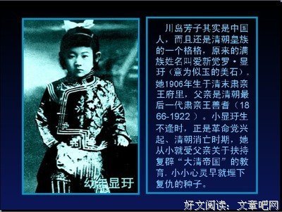 《川岛芳子》经典观后感集