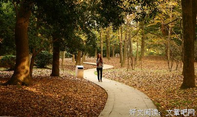 朗诵：爱的远方