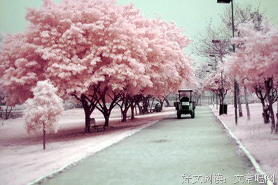 关于杂的句子