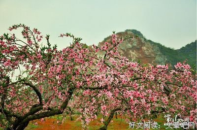 邂逅的优美句子