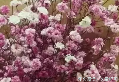 独句子