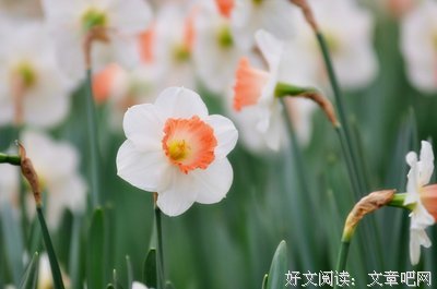 相知的句子