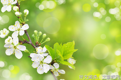 有关美句的句子