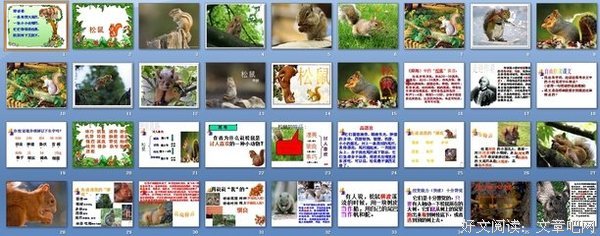 关于哺乳动物的名言