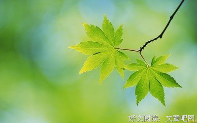 白牛的名人名言