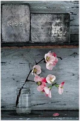 做人，就要 “无情” 一点