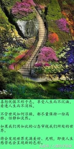 从容的句子