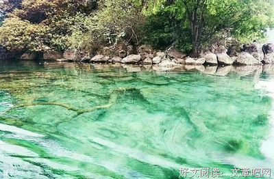 心软的人，最苦