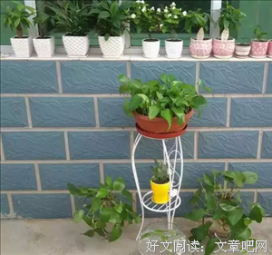 大起大落谁都有，拍拍灰尘继续走