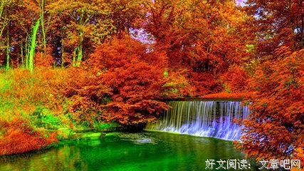 关于空知英秋的名言