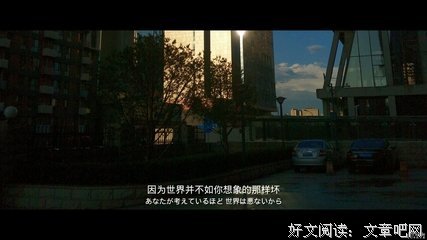 有关紫薇流年座右铭