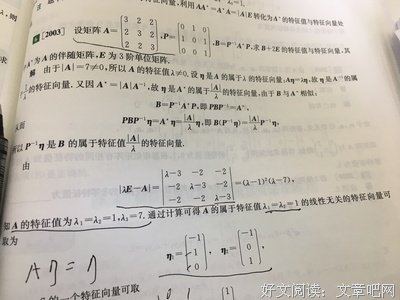 关于线性木头名言