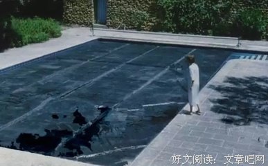 《泳池情杀案》经典影评10篇