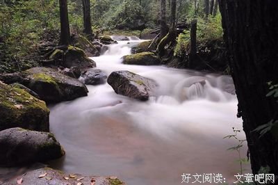 早读：想开看透，心无烦忧