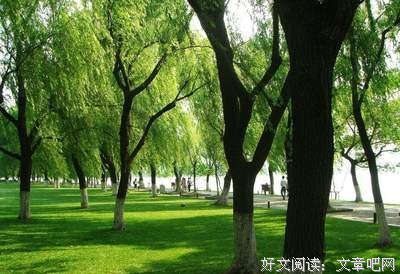 有关可以写作文的的句子