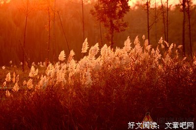 最是秋日又黄昏